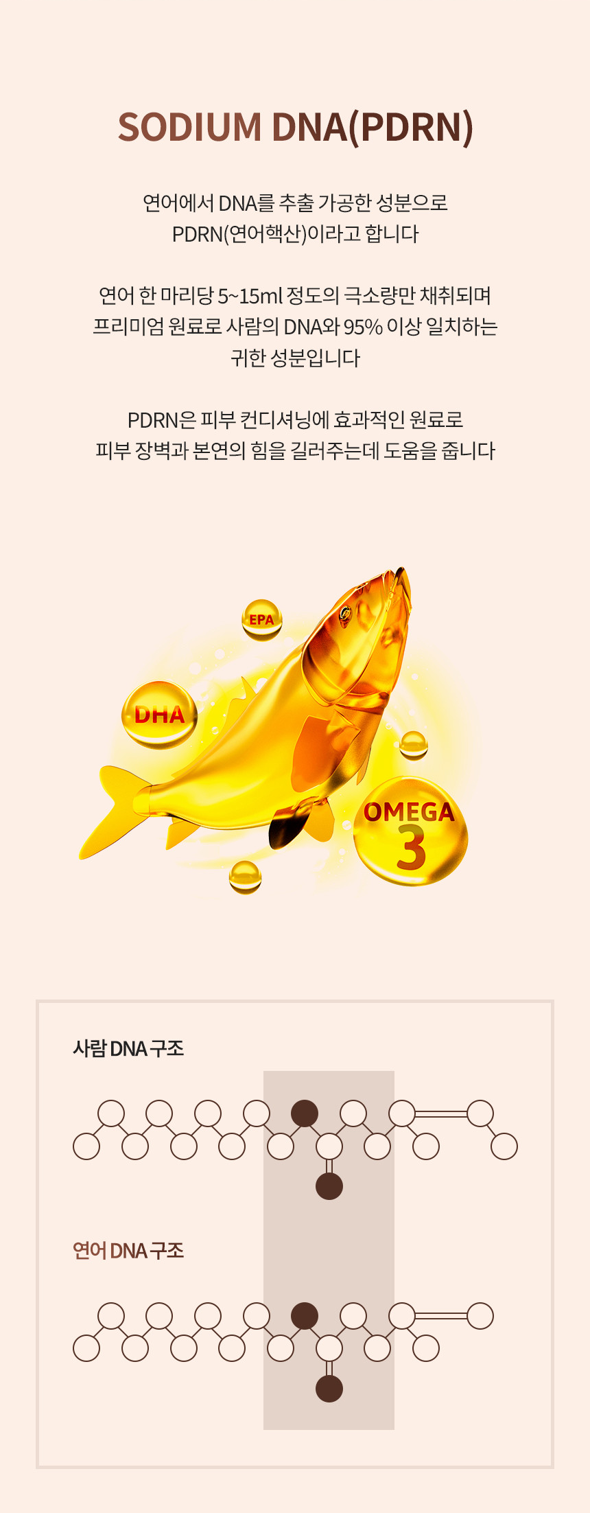 05.png