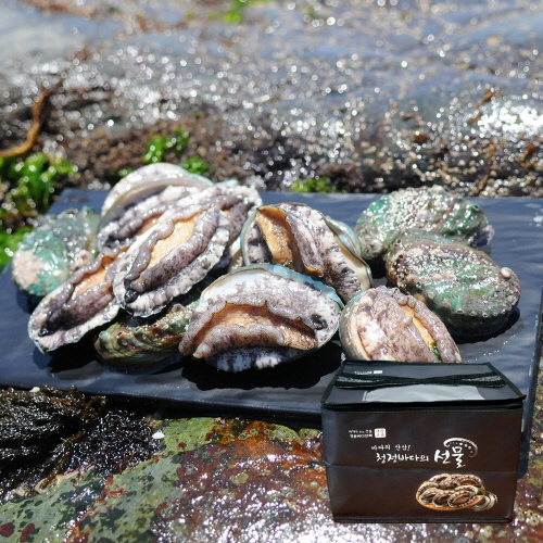 [바른전복] ★초특가★ 완도 전복 선물세트 12-14미 1kg (부직포 선물포장)