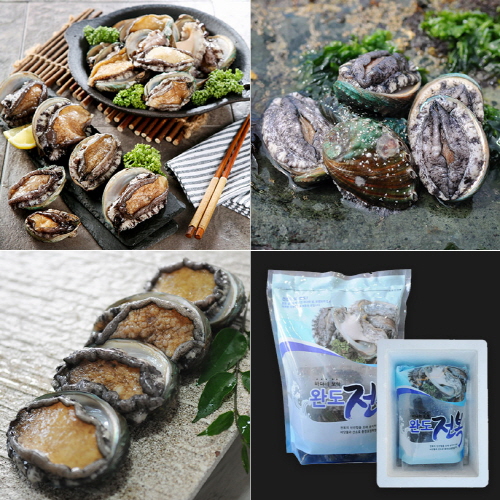 [바른전복] 완도 활전복 중전복 13-14미 1kg