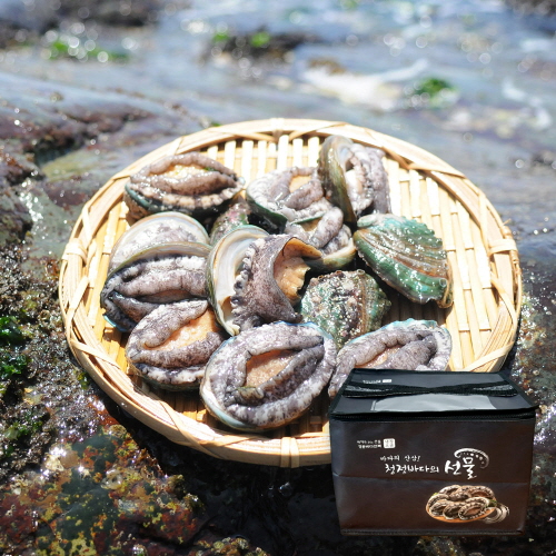 [바른전복] 완도 활전복 중전복 11-12미 1kg 선물세트 (부직포)