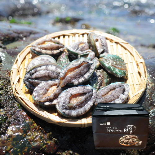 [바른전복] 완도 활전복 중전복 10-11미 1kg 선물세트 (부직포)