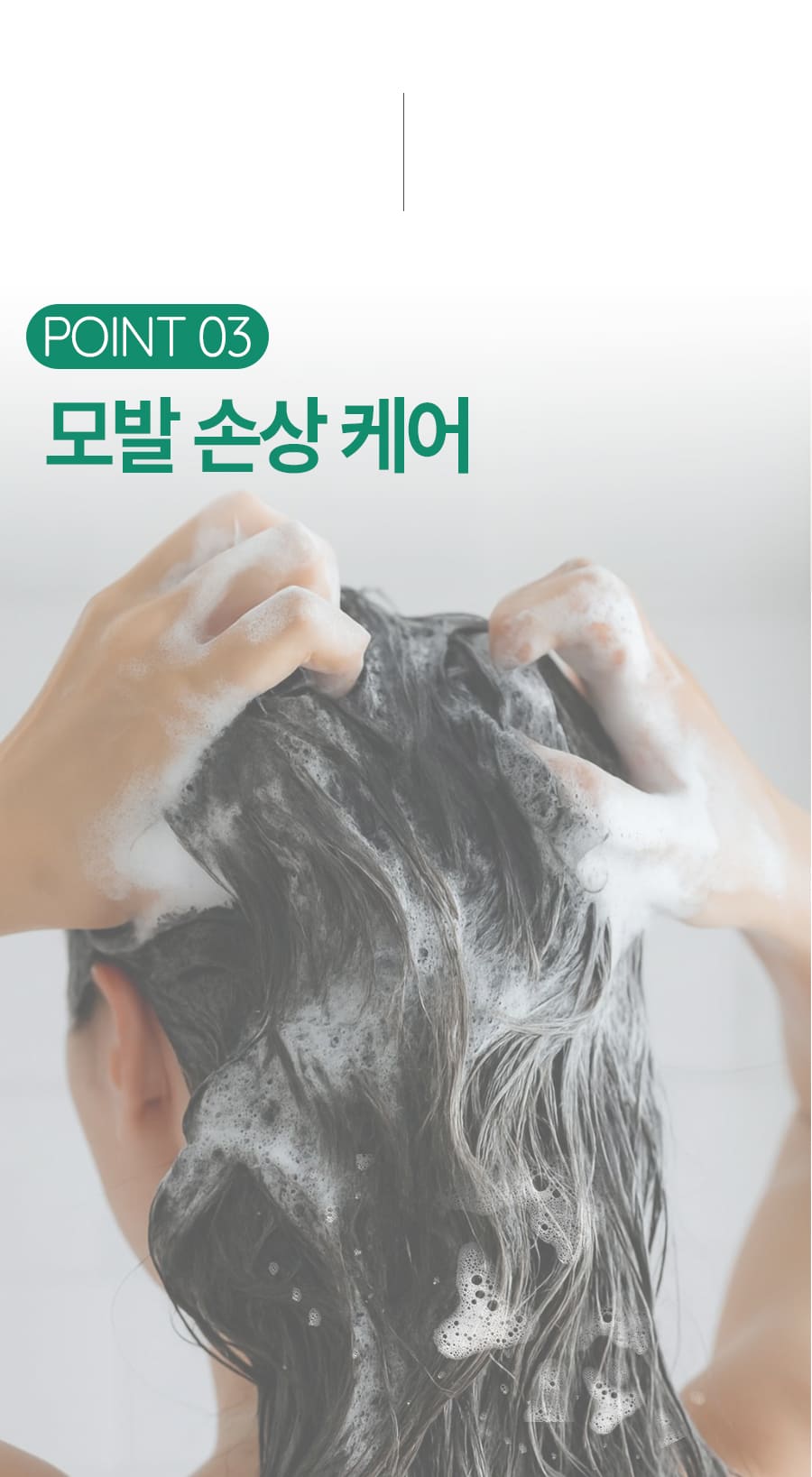 리뉴얼-샴푸_12.jpg