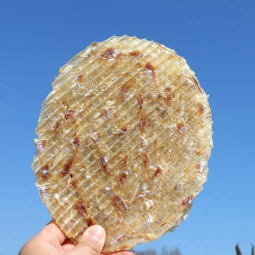 옛날 왕 큰 얼굴쥐포 10장 480g내외