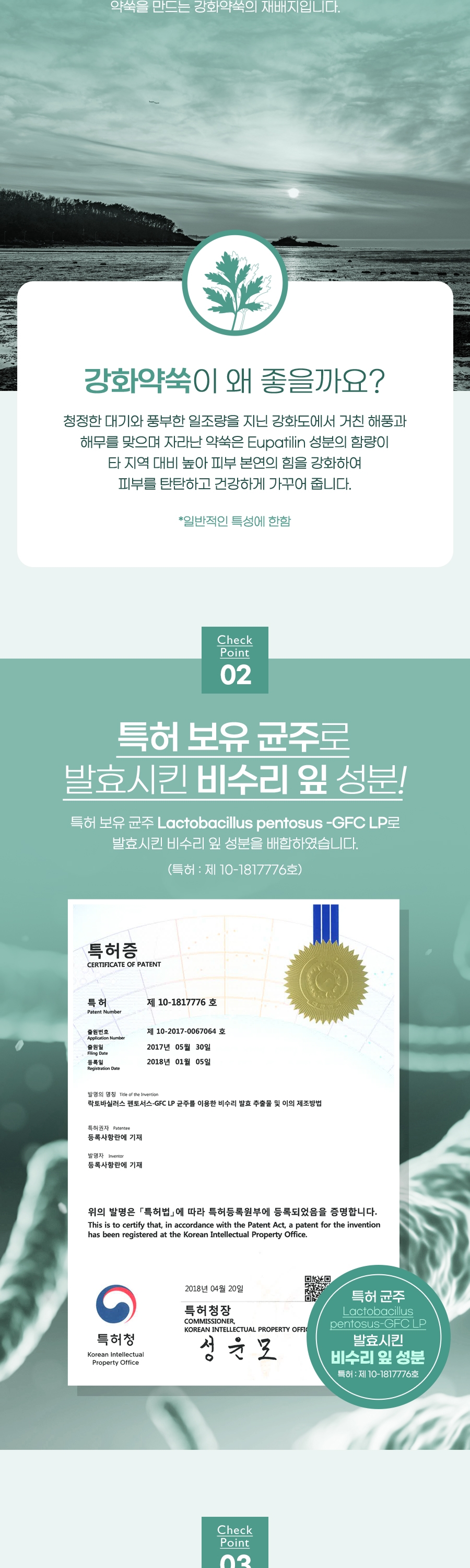 D_04.jpg