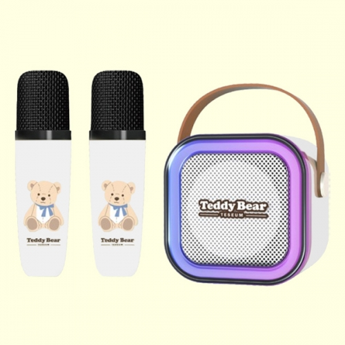 [테디베어] 듀얼마이크 노래방 세트