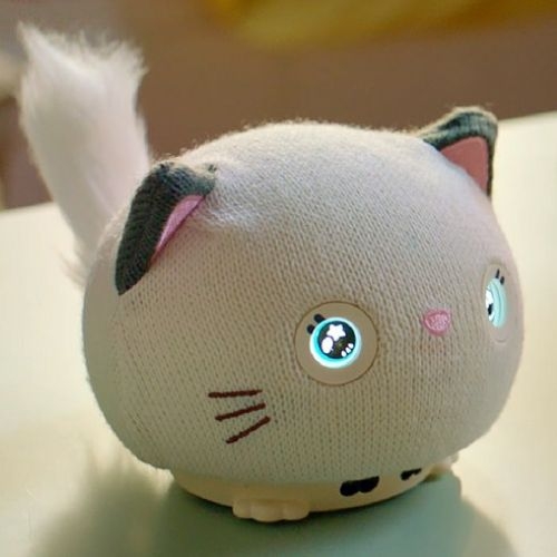 [원앤원] 헬로펫 인터랙티브 고양이 퍼로