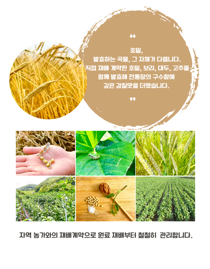 25090223114_3 copy.jpg