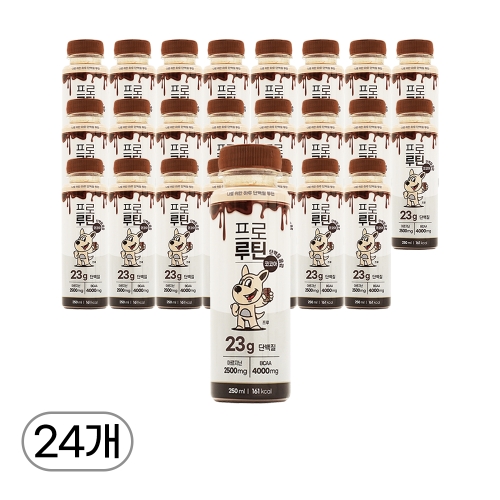 [프로루틴] 단백질 아르기닌 음료 코코아 250mL, 24병(2box)