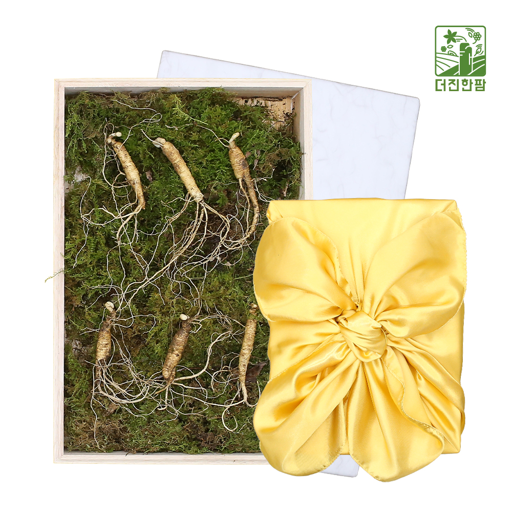 [더진한팜] 기운내삼 5년근 산양산삼 6뿌리 (스티로폼케이스/보자기 포장)
