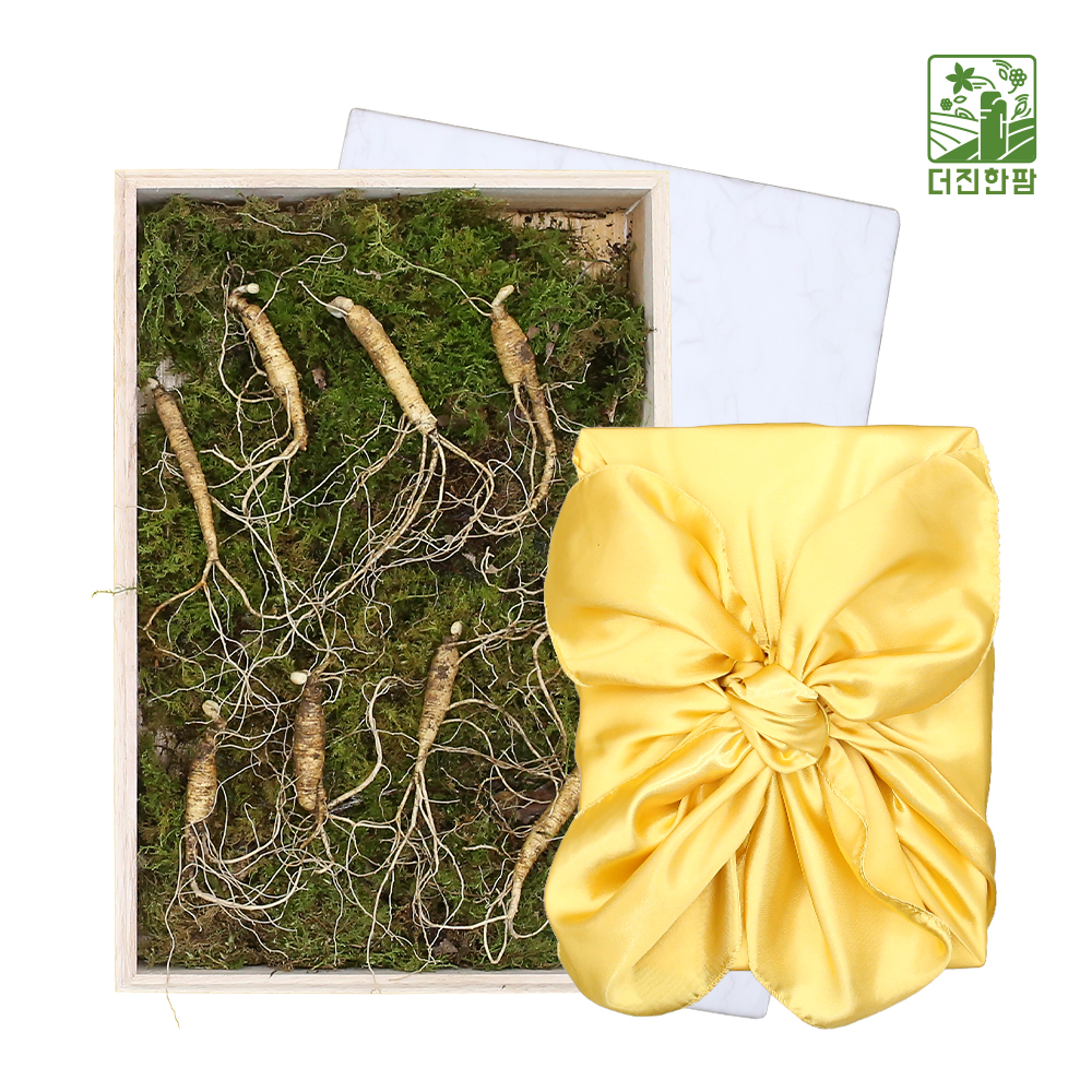 [더진한팜] 기운내삼 5년근 산양산삼 9뿌리 (스티로폼케이스/보자기 포장)