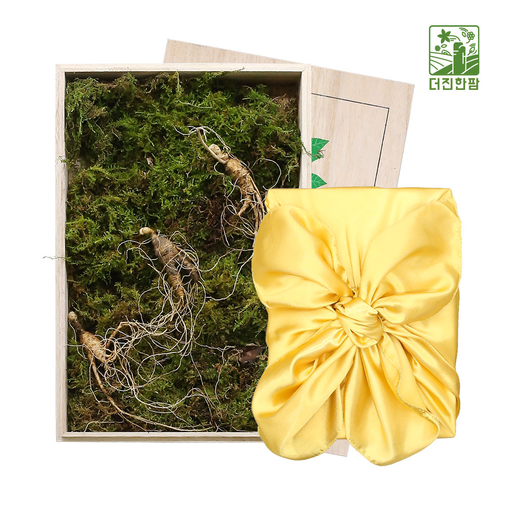 [더진한팜] 기운내삼 6-7년근 산양산삼 3뿌리 (오동나무케이스/보자기 포장)