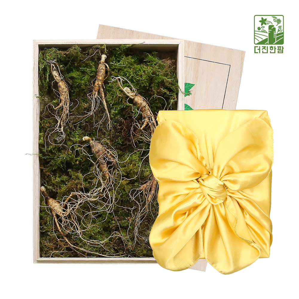 [더진한팜] 기운내삼 6-7년근 산양산삼 6뿌리 (오동나무케이스/보자기 포장)