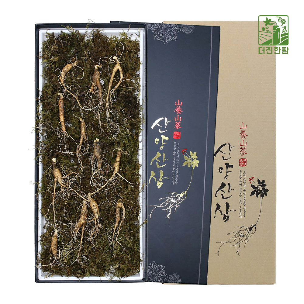[더진한팜] 기운내삼 6-7년근 산양산삼 12뿌리 (전용 지함케이스 포장)
