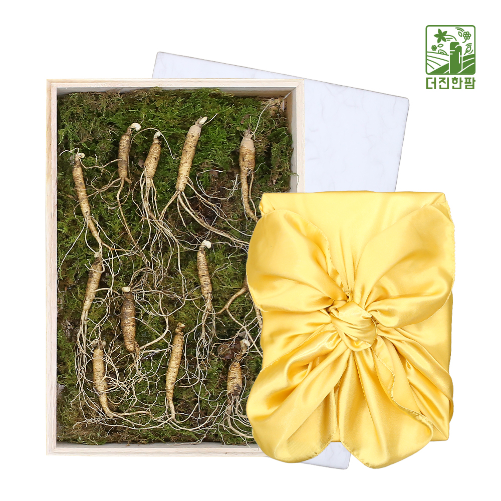 [더진한팜] 기운내삼 5년근 산양산삼 12뿌리 (스티로폼케이스/보자기 포장)