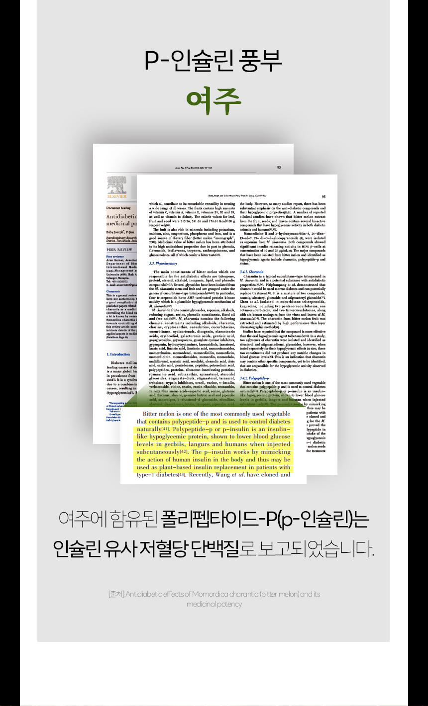 팔당비책-여주정_상세2_02.jpg