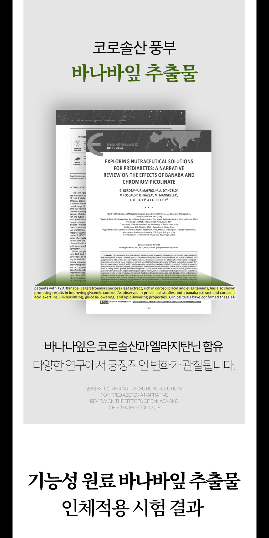 팔당비책-여주정_상세2_08.jpg