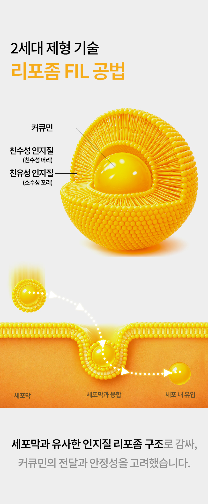 휴나인_커큐민_상세2_01.jpg