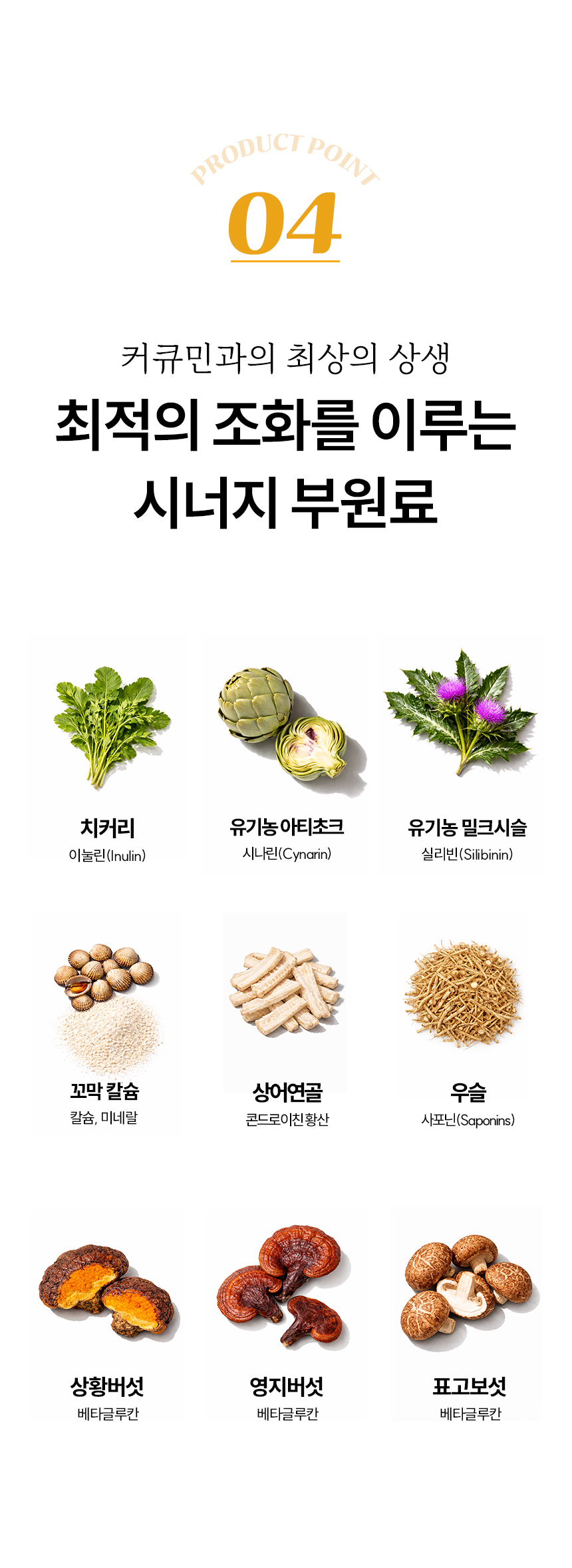 휴나인_커큐민_상세2_09.jpg