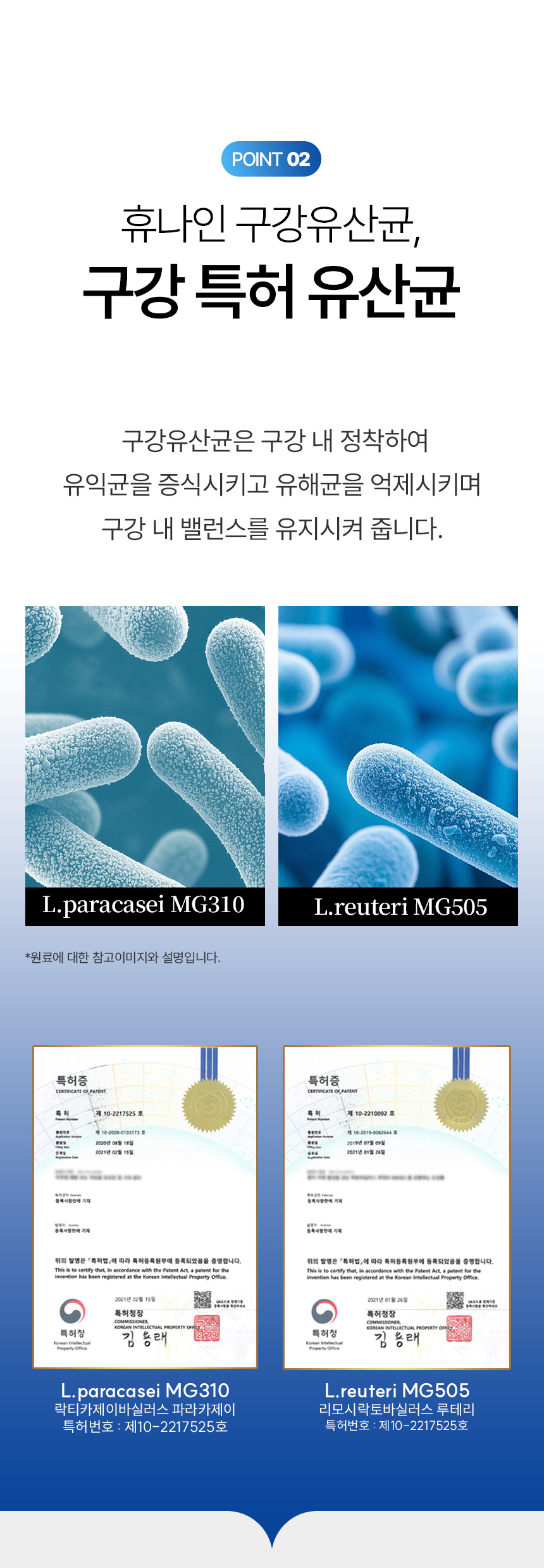 덴팃_상세페이지1_11.jpg