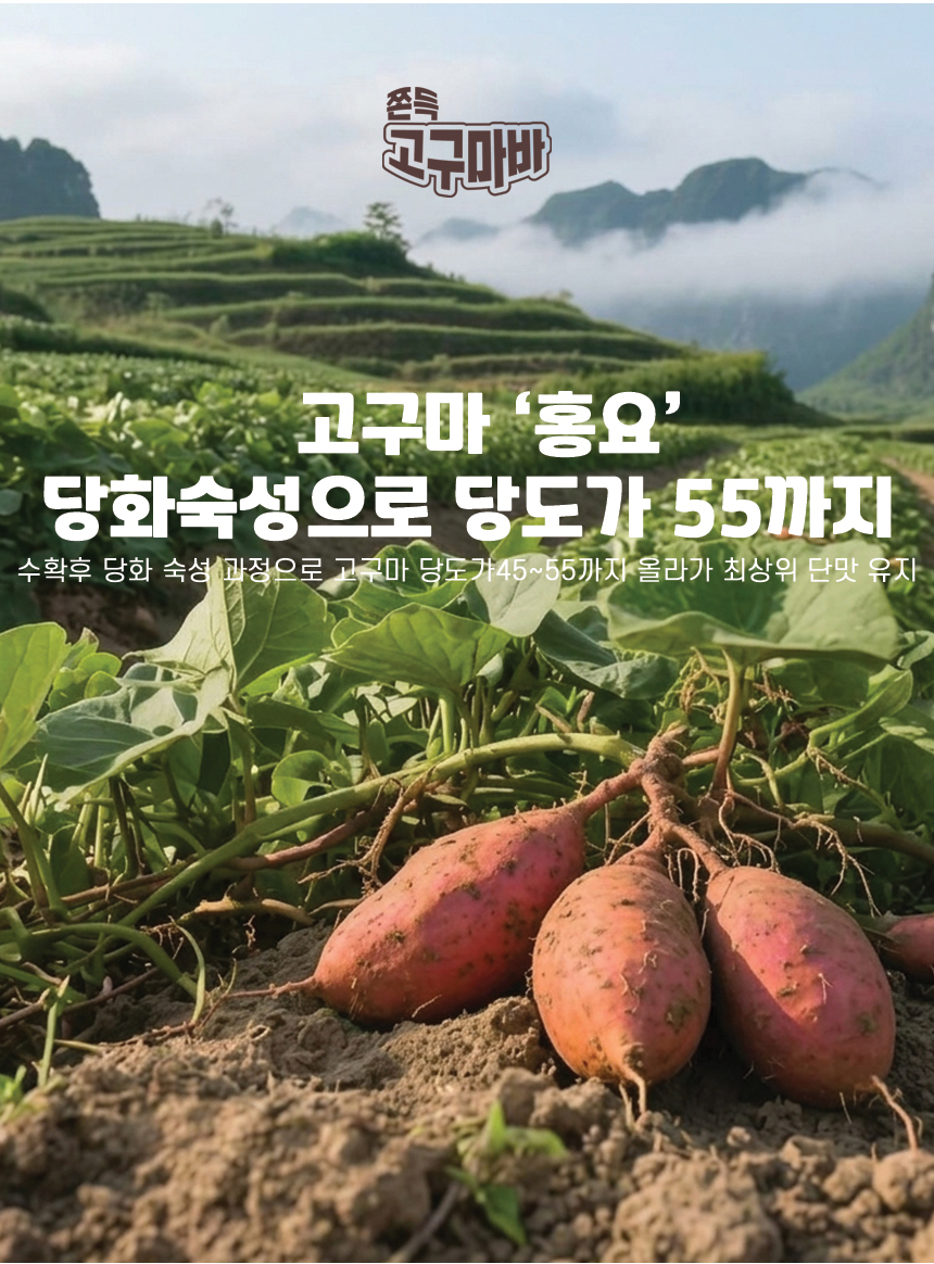 쫀득-고구마바_14.jpg